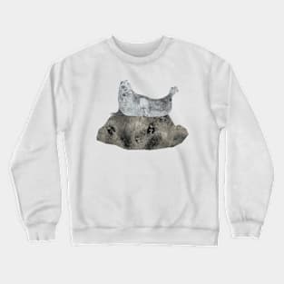 Seal on rock Crewneck Sweatshirt